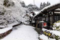 雪の日の秋月1