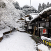 雪の日の秋月1