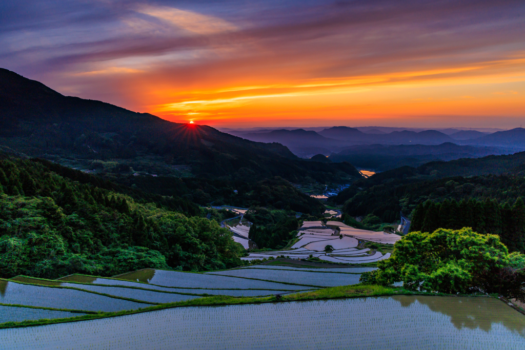 夕暮れの棚田