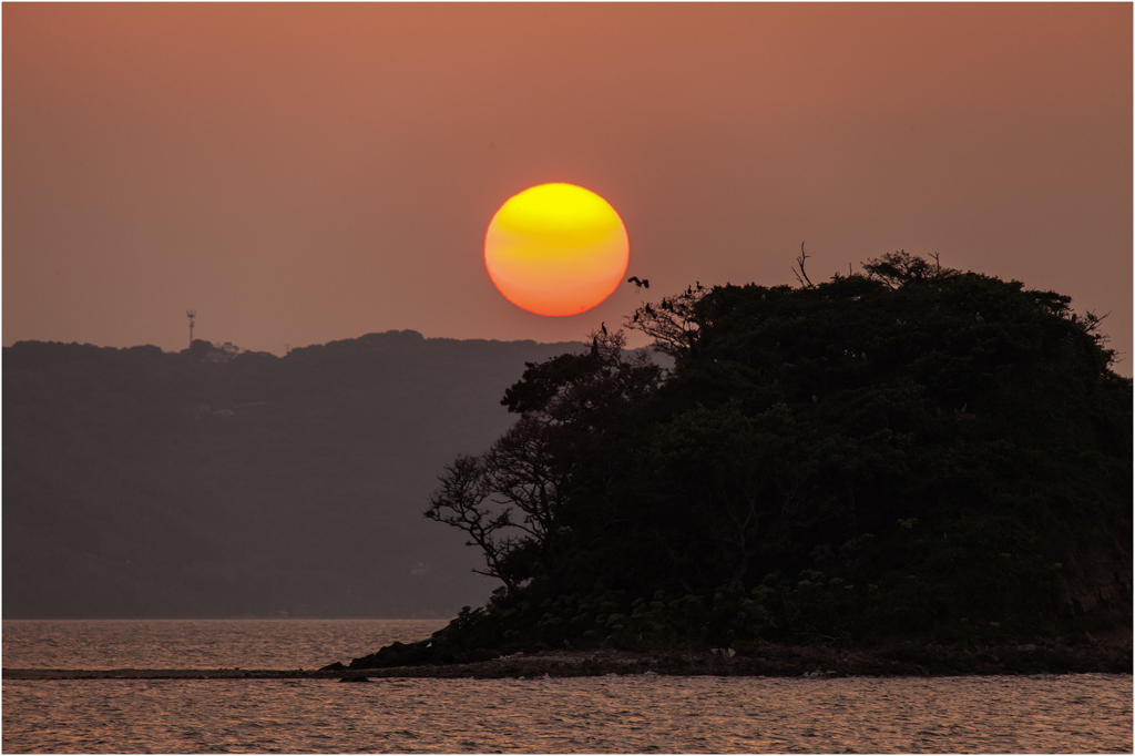 いつかの夕陽