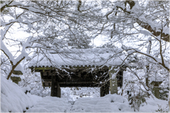 いつかの大雪の日Ⅰ