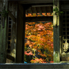 晩秋の寺