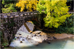 影がハートになる橋