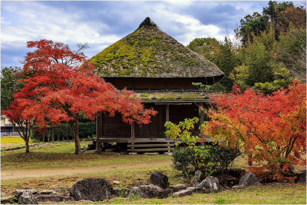 紅葉狩り