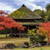 紅葉狩り