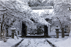 いつかの雪の日Ⅱ