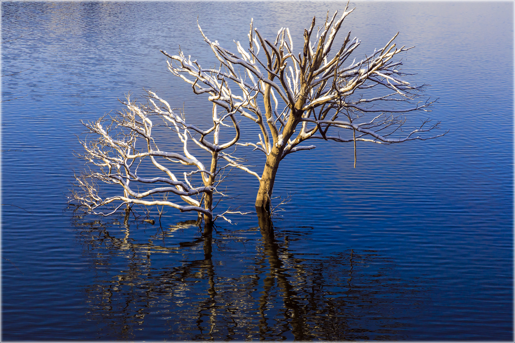 雪の里山めぐり