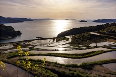 田植えを待つ棚田