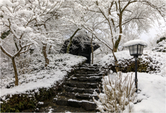 雪の日の秋月2