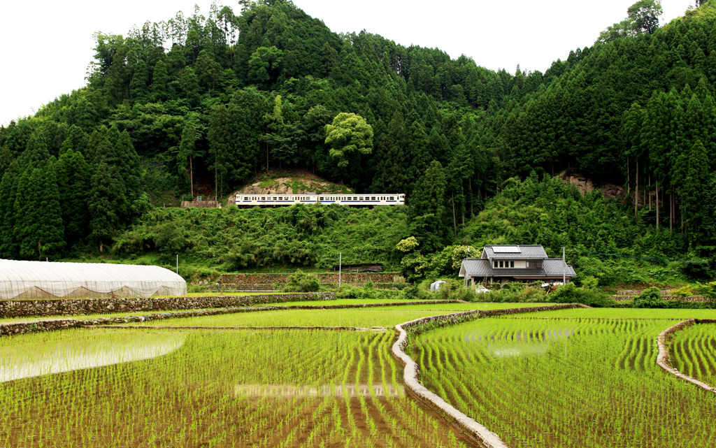 懐かしき日田彦山線