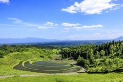 初夏の扇田