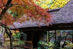 晩秋の九年庵