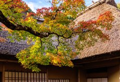 晩秋の九年庵