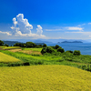 真夏の棚田巡り15