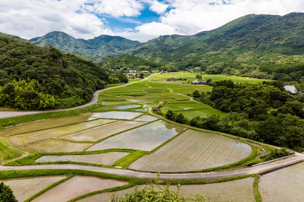 田んぼのある風景1