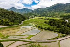 田んぼのある風景1