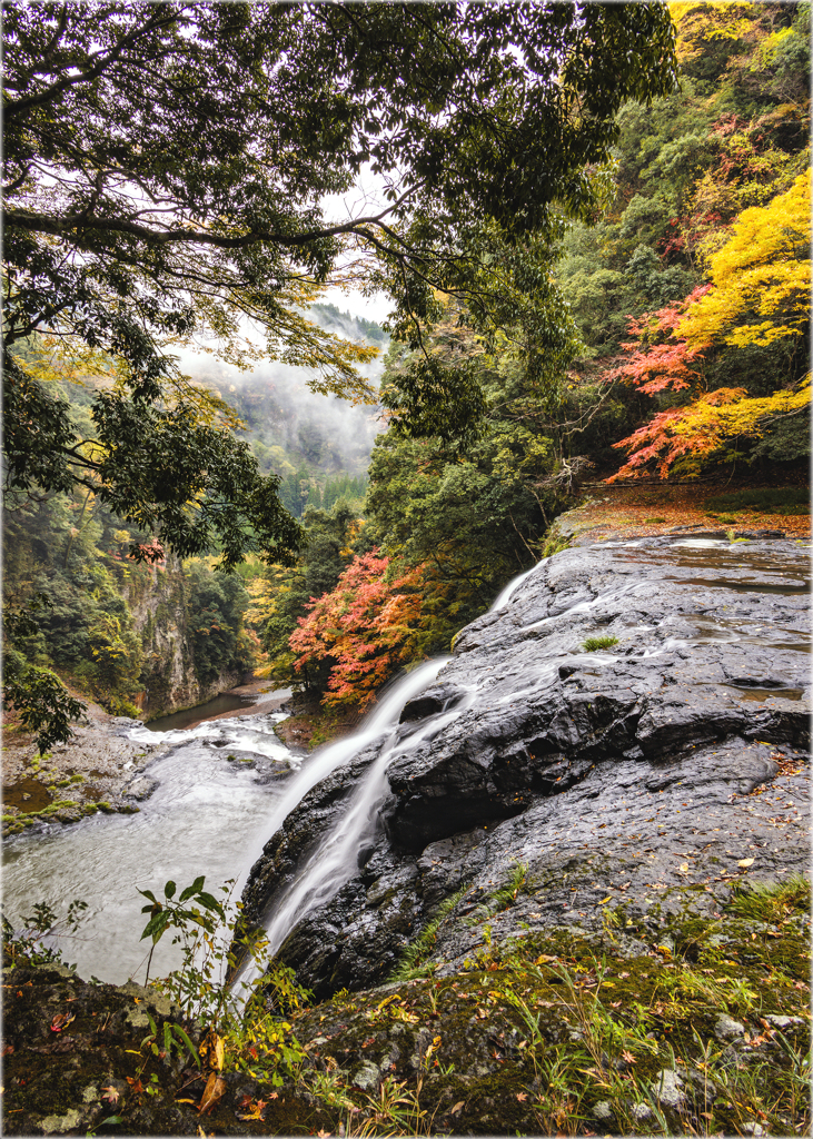 秋彩の鷹滝