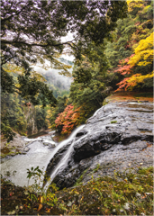 秋彩の鷹滝