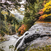 秋彩の鷹滝