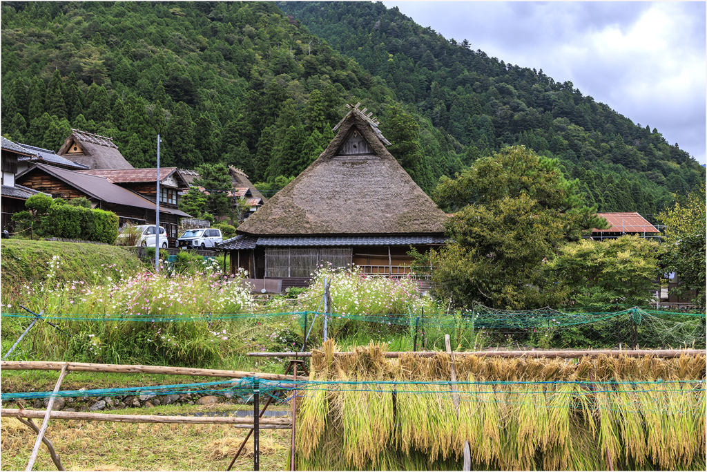 里山の秋