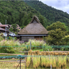里山の秋