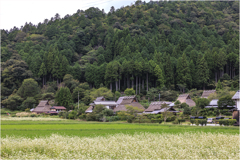美山茅葺の里3
