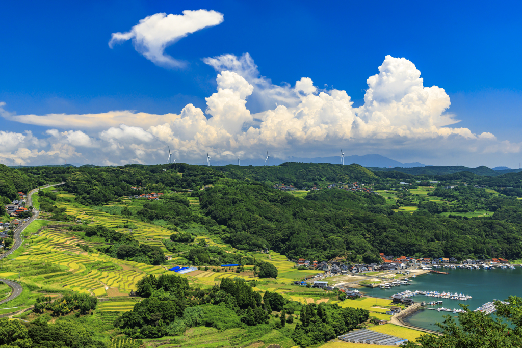 真夏の棚田巡り8