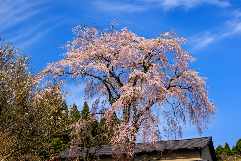 通りすがりの風景