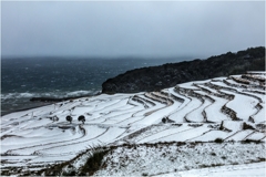 雪の棚田巡り2