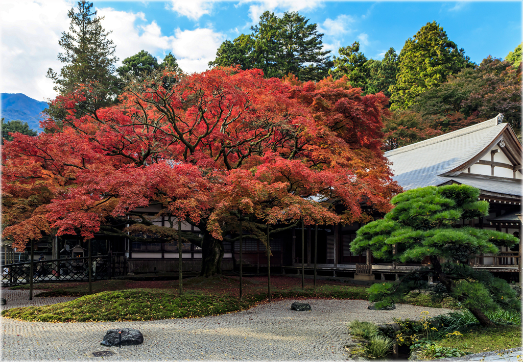 晩秋の古刹