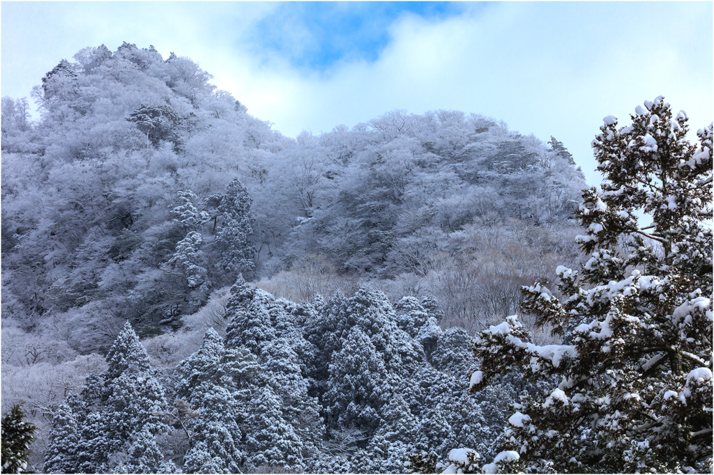 九州の雪景色2