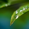 雨上がり2