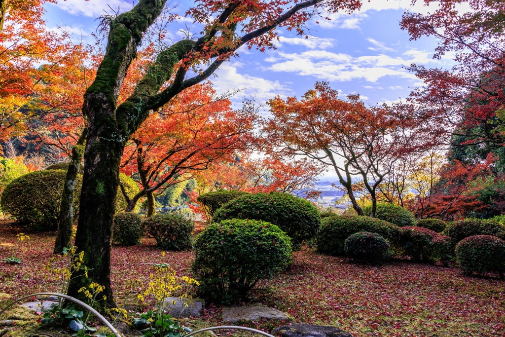 名勝九年庵