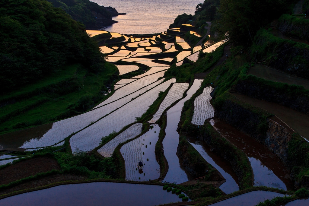 田植えの頃