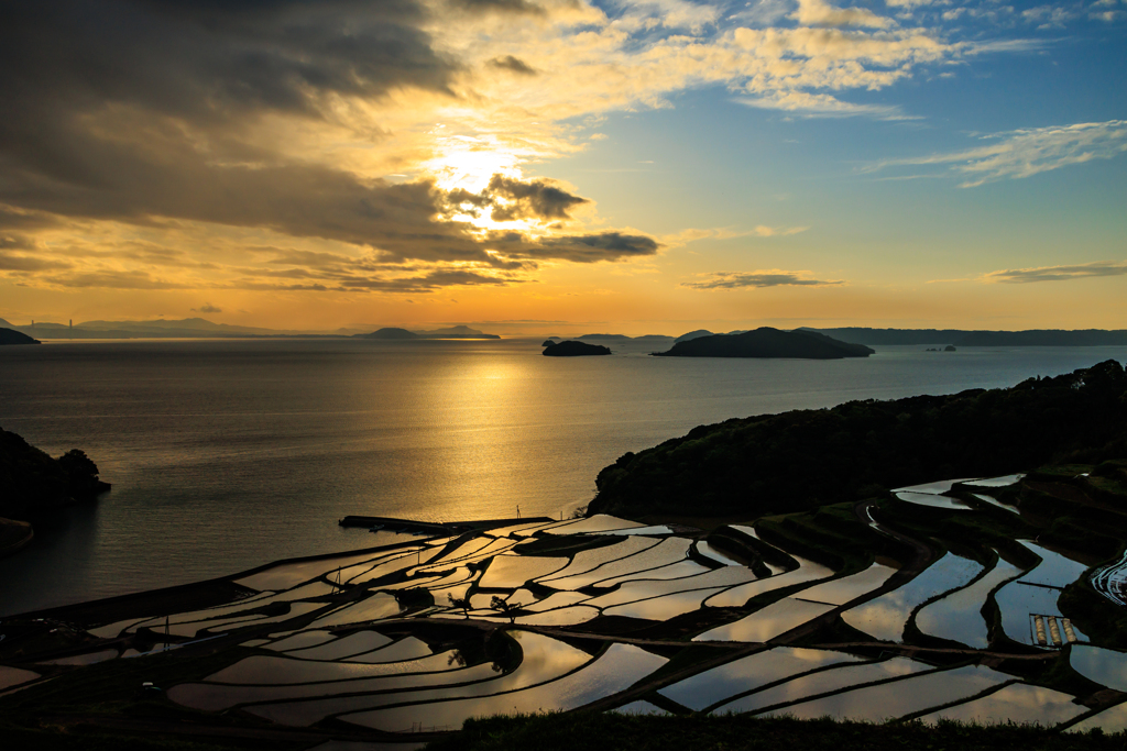 夕暮れの棚田