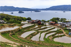 田植えの頃