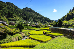 里山めぐり