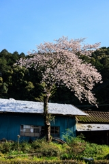 通りすがりの風景