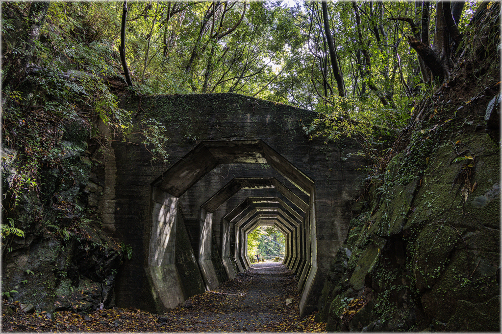 秋の八角トンネル