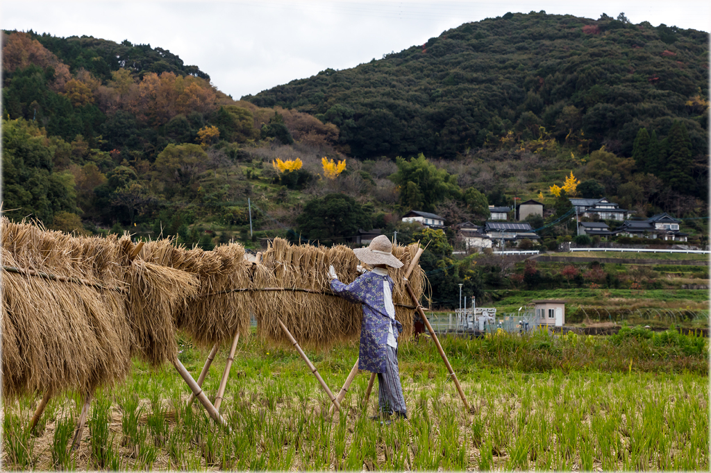 里の秋