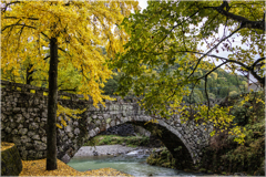 影がハートになる橋