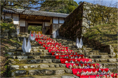 秋月城址のひな祭り2