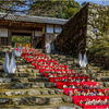秋月城址のひな祭り2