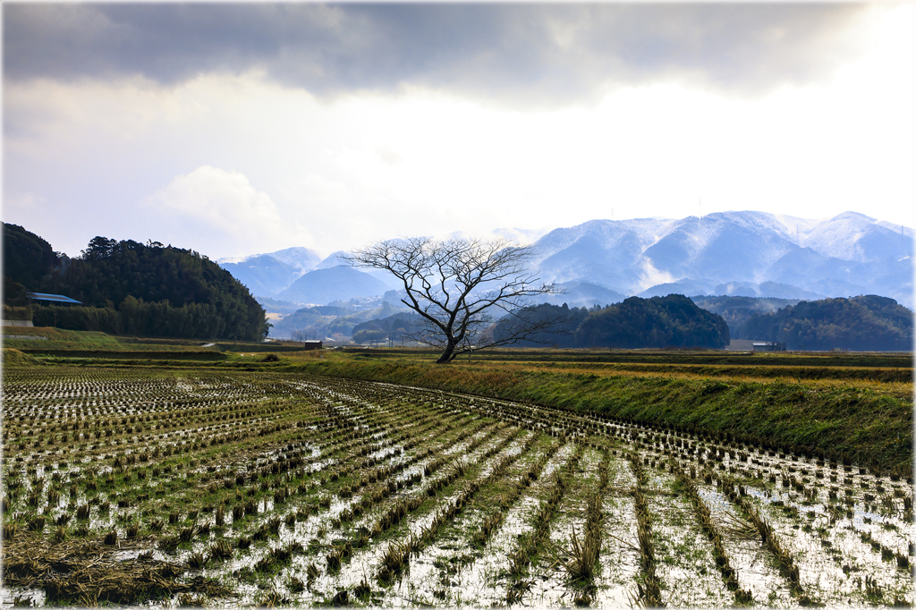 いつかの雪の日