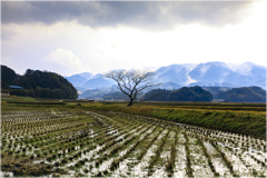 いつかの雪の日