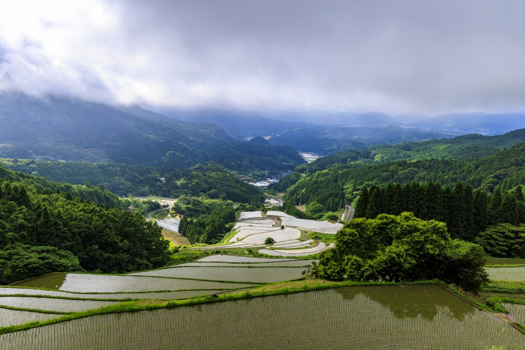 蕨野の棚田