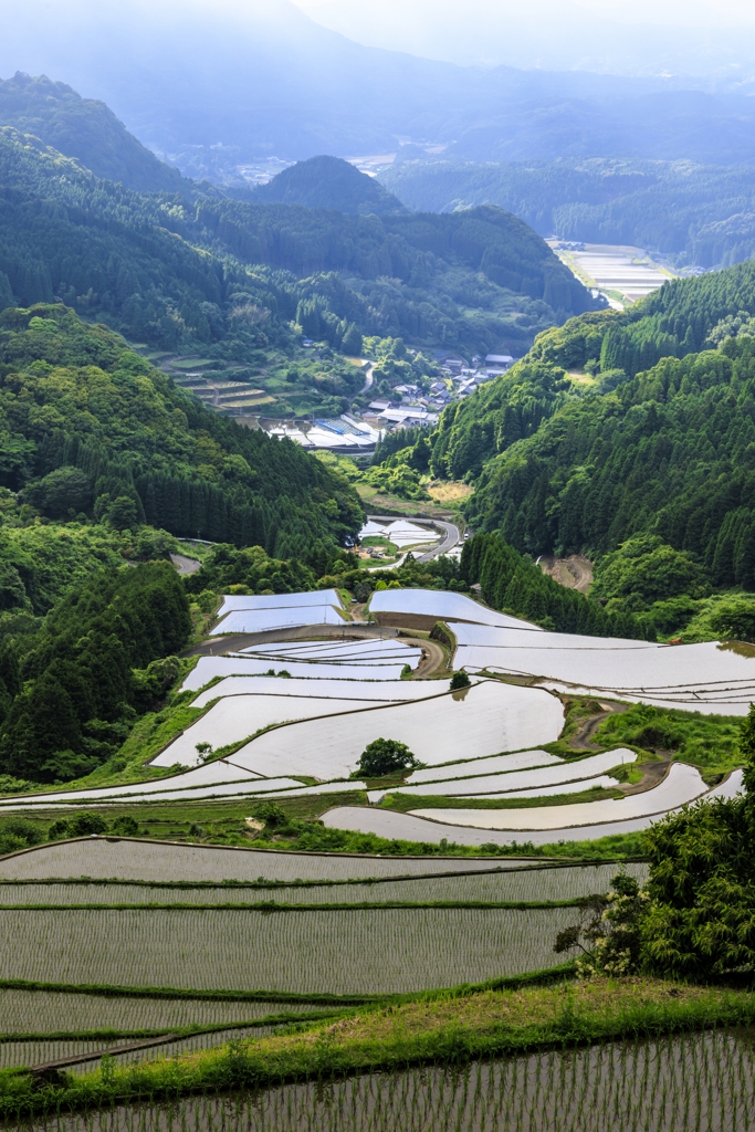 蕨野の棚田