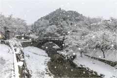 雪の秋月城下町
