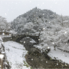 雪の秋月城下町