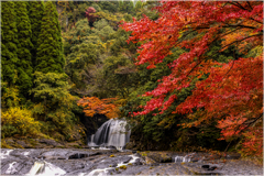 秋彩のつばめ滝2